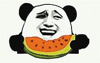 娱乐吃瓜君爆料遛鸟,遛鸟背后的明星趣事大揭秘 第2张 娱乐吃瓜君爆料遛鸟,遛鸟背后的明星趣事大揭秘 第2张